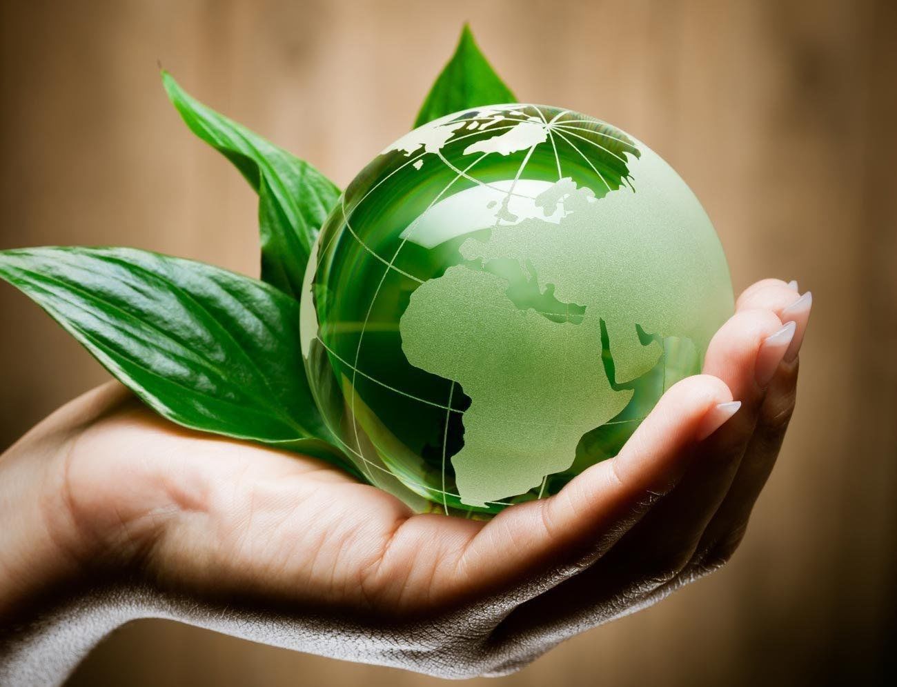 Обеспечение экологической безопасности руководителями (специалистами) общехозяйственных систем управления