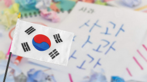 Корейский язык. Базовый уровень